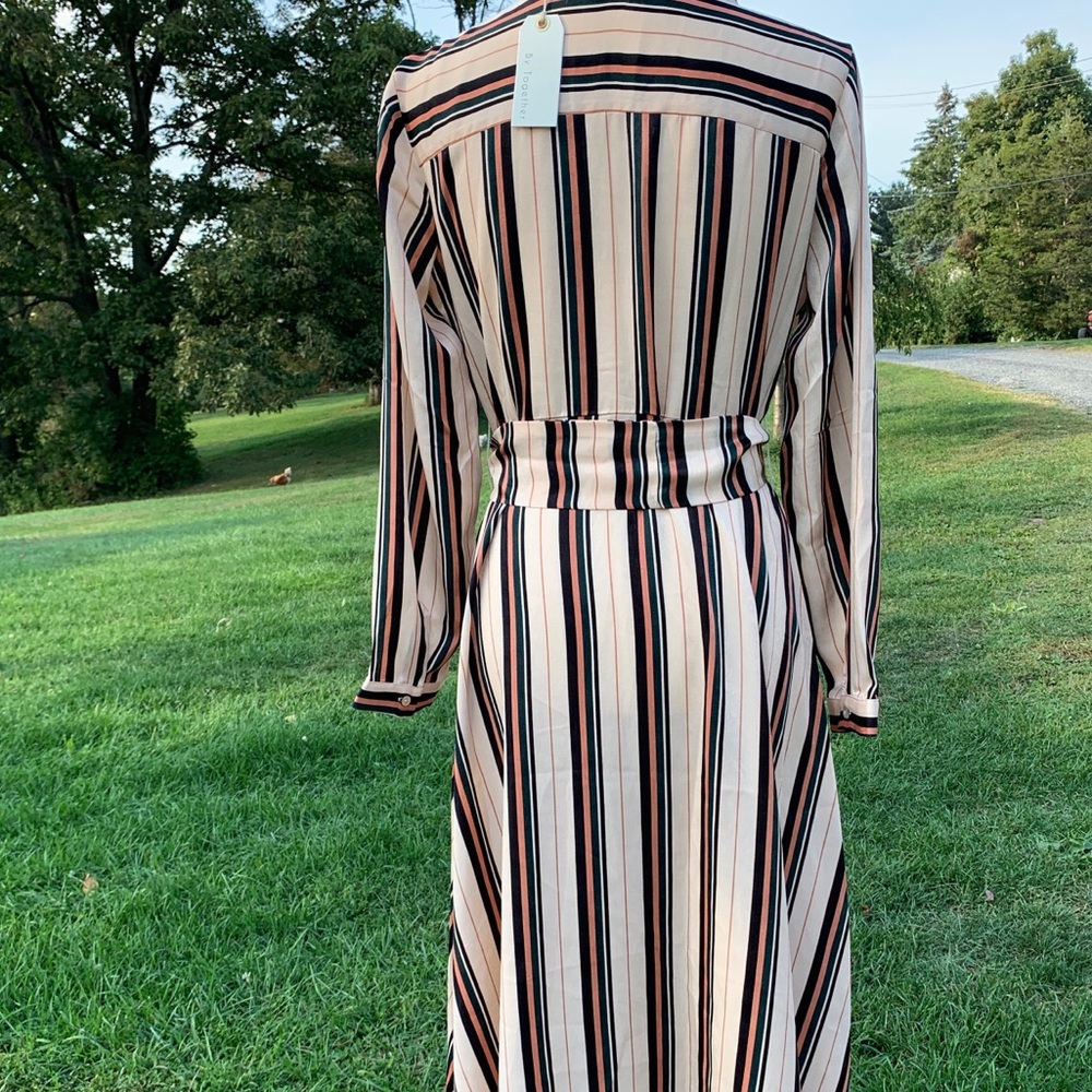 NWT Multicolored Striped Dress - Picture 4 of 8